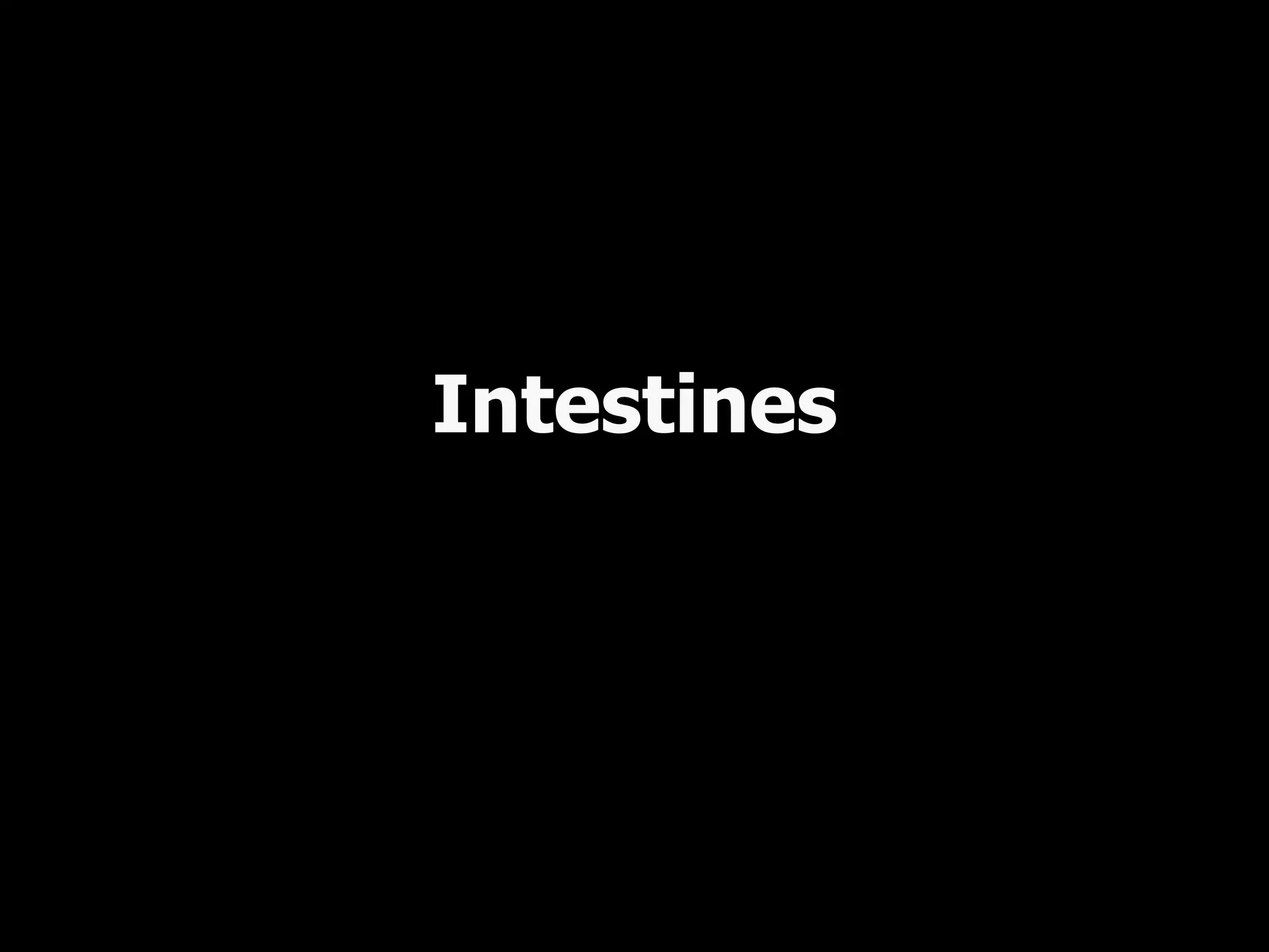 Intestines
 