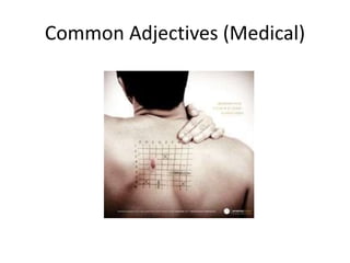 Common Adjectives (Medical)
 