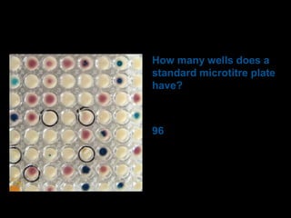 How many wells does a
standard microtitre plate
have?

96

 