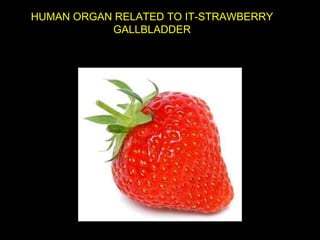 HUMAN ORGAN RELATED TO IT-STRAWBERRY
GALLBLADDER

 