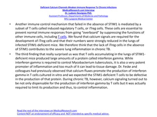 Deficient Calcium Channels Weaken Immune Response To ChronicInfections
MedicalResearch.com Interview
Dr. Ludovic Desvignes PhD.
Assistant Professor, Departments of Medicine and Pathology
NYU Langone Medical Center
• Another immune control mechanism that failed in the absence of STIM1 is mediated by a
subset of T cells called induced regulatory T cells, or iTreg cells. These cells are essential to
prevent normal immune responses from going “overboard” by suppressing the functions of
other immune cells, including T cells. We found that calcium signals are required for the
development of iTreg cells and that their numbers were strongly reduced in the lungs of
infected STIM1-deficient mice. We therefore think that the lack of iTreg cells in the absence
of STIM1 contributes to the severe lung inflammation in chronic TB.
• The third finding that really surprised us was that T cells accumulating in the lungs of STIM1-
deficient mice produced large amounts of a protein called interferon gamma. While
interferon gamma is required to control Mycobacterium tuberculosis, it is also a very potent
promoter of inflammation and too much of it can lead to tissue damage. Dr. Feske and
colleagues had previously observed that calcium fluxes promote the production of interferon
gamma in T cells cultured in vitro and we expected the STIM1-deficient T cells to be defective
in the production of that protein. During chronic TB, however, calcium signaling turned out to
be not only dispensable for the production of interferon gamma by T cells but it was actually
required to limit its production and thus, to control inflammation.
Read the rest of the interviews on MedicalResearch.com
Content NOT an endorsement of efficacy and NOT intended as specific medical advice.
 