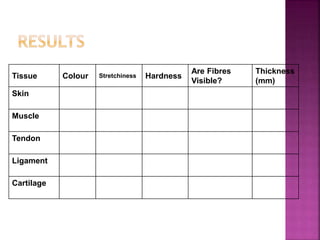 Tissue Colour Stretchiness Hardness
Are Fibres
Visible?
Thickness
(mm)
Skin
Muscle
Tendon
Ligament
Cartilage
 