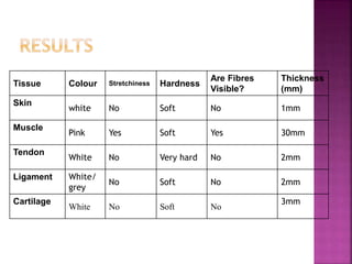 Tissue Colour Stretchiness Hardness
Are Fibres
Visible?
Thickness
(mm)
Skin
white No Soft No 1mm
Muscle
Pink Yes Soft Yes 30mm
Tendon
White No Very hard No 2mm
Ligament White/
grey
No Soft No 2mm
Cartilage
White No Soft No
3mm
 