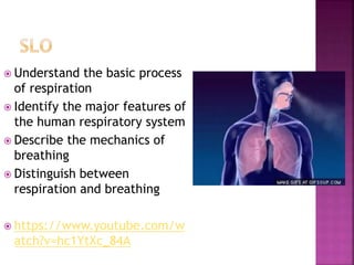  Understand the basic process
of respiration
 Identify the major features of
the human respiratory system
 Describe the mechanics of
breathing
 Distinguish between
respiration and breathing
 https://www.youtube.com/w
atch?v=hc1YtXc_84A
 