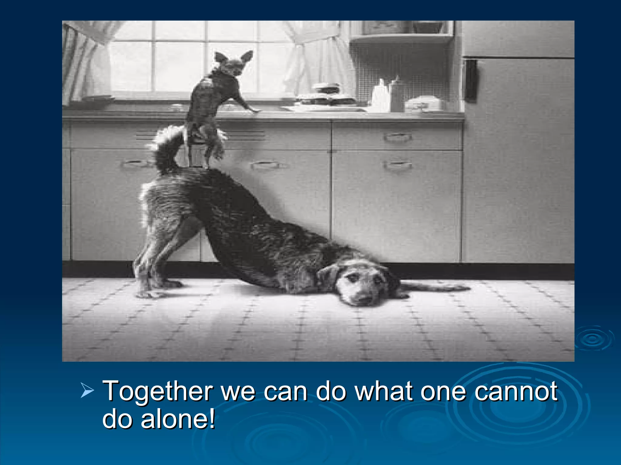 Together we can do what one cannot do alone! 