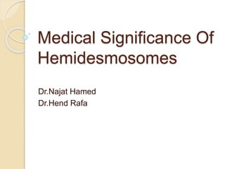 Medical Significance Of
Hemidesmosomes
Dr.Najat Hamed
Dr.Hend Rafa
 