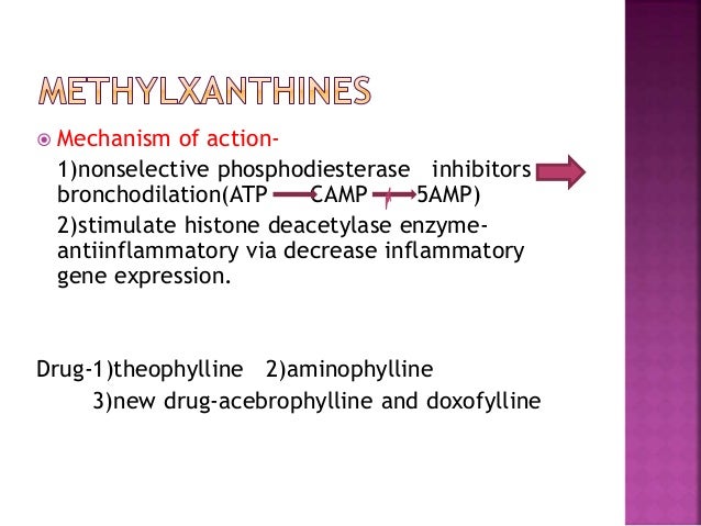 Theophylline mechanism of action
