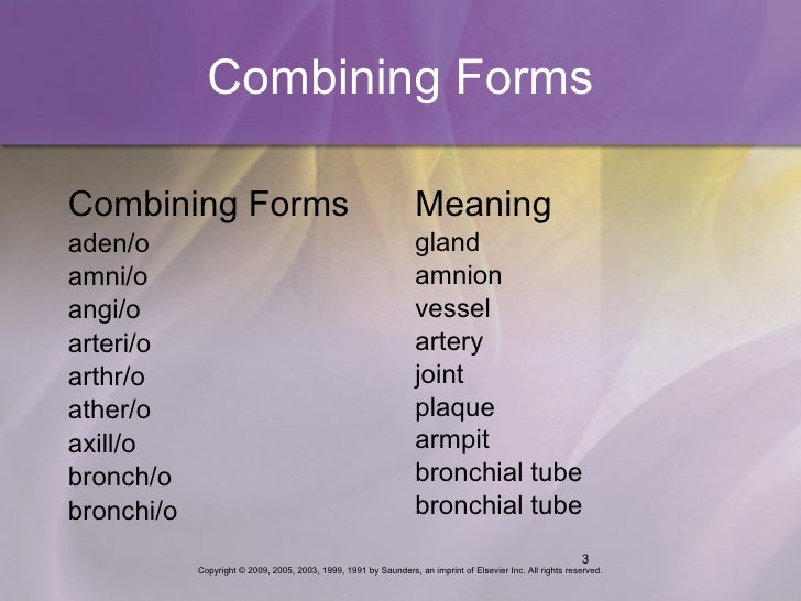 medical term 2 the combining form meaning spinal cord is