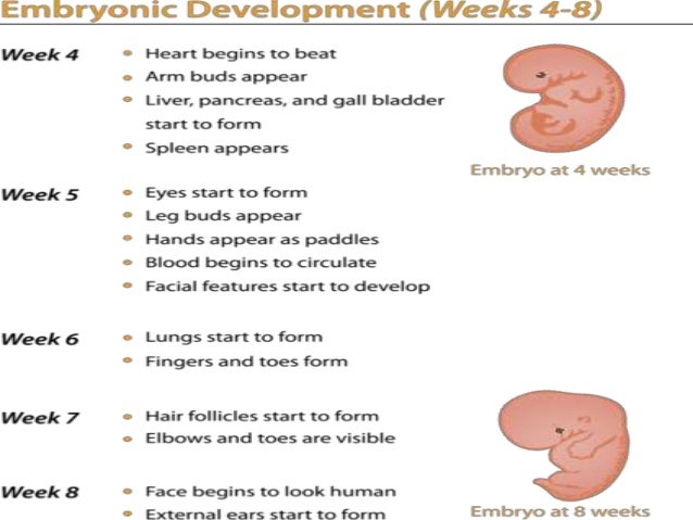 termination of pregnancy in malaysia