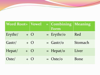 Word Root+ Vowel = Combining
Form
Meaning
Erythr/ + O = Erythr/o Red
Gastr/ + O = Gastr/o Stomach
Hepat/ + O = Hepat/o Liver
Oste/ + O = Oste/o Bone
 