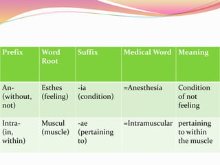 Prefix Word
Root
Suffix Medical Word Meaning
An-
(without,
not)
Esthes
(feeling)
-ia
(condition)
=Anesthesia Condition
of not
feeling
Intra-
(in,
within)
Muscul
(muscle)
-ae
(pertaining
to)
=Intramuscular pertaining
to within
the muscle
 