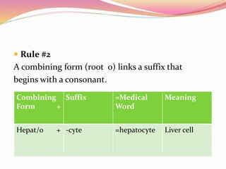  Rule #2
A combining form (root o) links a suffix that
begins with a consonant.
Combining
Form +
Suffix =Medical
Word
Meaning
Hepat/o + -cyte =hepatocyte Liver cell
 