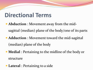 Directional Terms
 Abduction : Movement away from the mid-
sagittal (median) plane of the body/one of its parts
 Adduction : Movement toward the mid-sagittal
(median) plane of the body
 Medial : Pertaining to the midline of the body or
structure
 Lateral : Pertaining to a side
 
