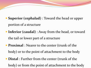  Superior (cephalad) : Toward the head or upper
portion of a structure
 Inferior (caudal) : Away from the head, or toward
the tail or lower part of a structure
 Proximal : Nearer to the center (trunk of the
body) or to the point of attachment to the body
 Distal : Further from the center (trunk of the
body) or from the point of attachment to the body
 