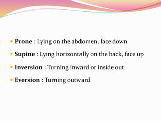  Prone : Lying on the abdomen, face down
 Supine : Lying horizontally on the back, face up
 Inversion : Turning inward or inside out
 Eversion : Turning outward
 
