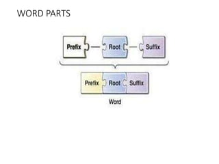 Medical terminologies used in clinical settings ppt | PPTX