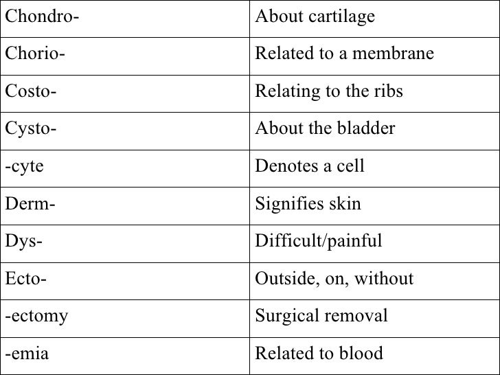 Medical Terminology