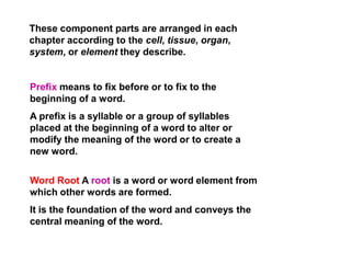 Medical Terminology | PPTX