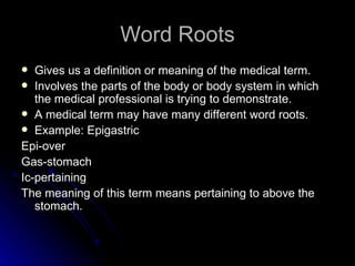 epigastric root word