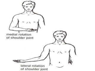 Medical terminology | PPTX