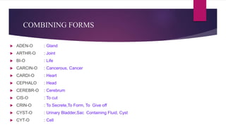 Medical terminology | PPTX