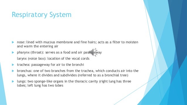Medical Terminology