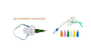 Medical Terminology.pptx