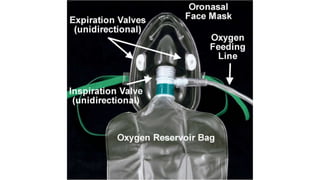 Medical Terminology.pptx