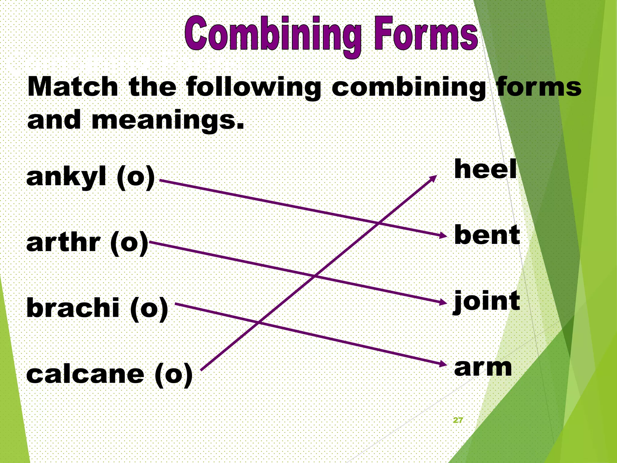 medical terminology.ppt