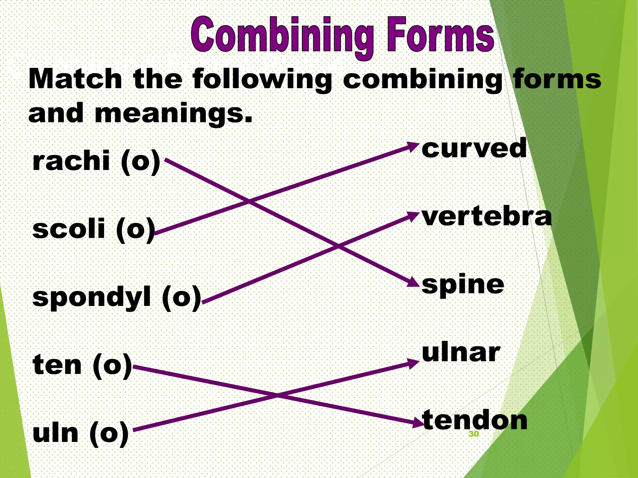 medical terminology.ppt