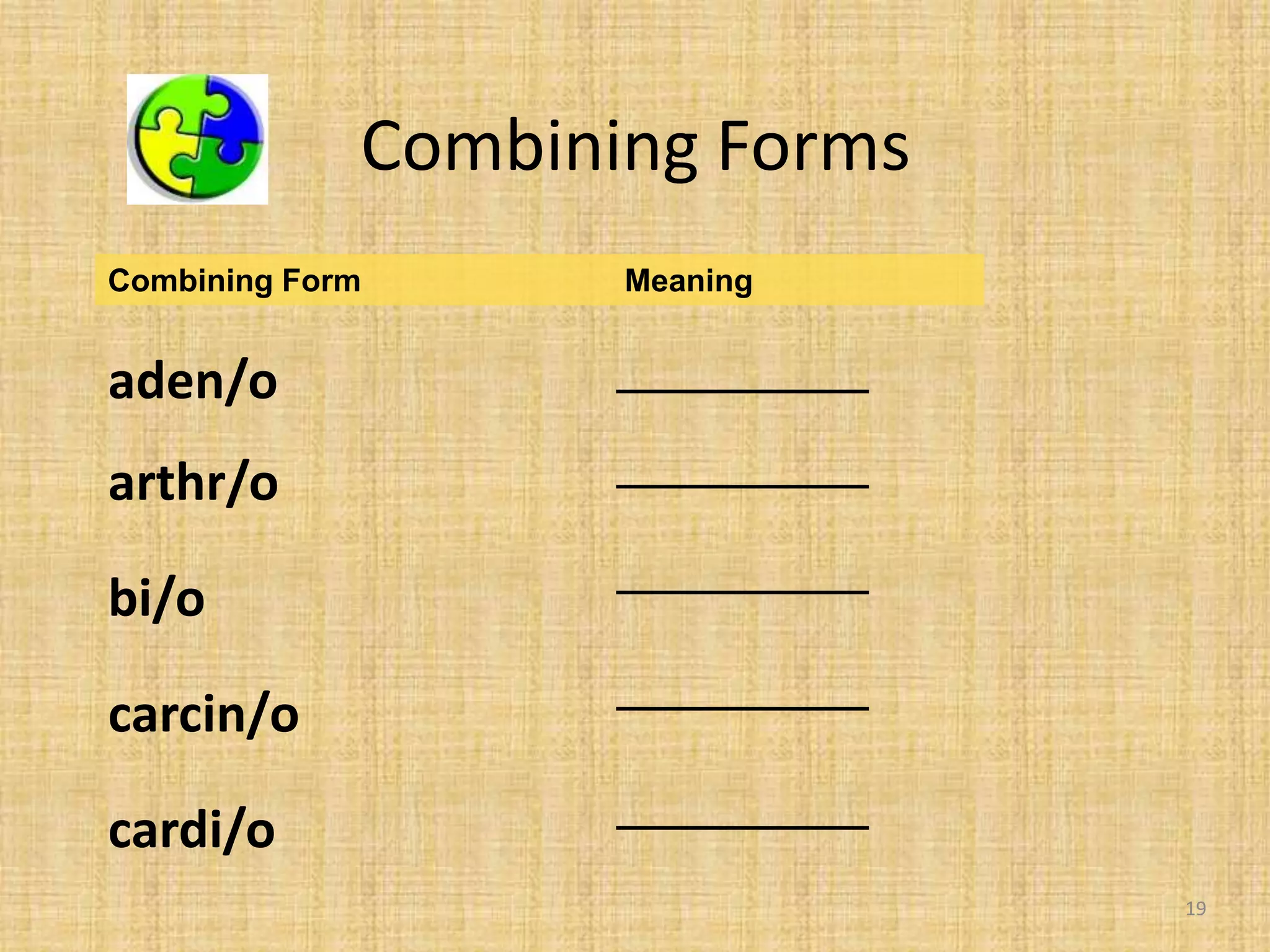 Medical Terminology.pptx
