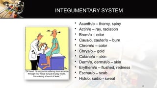 medical terminology in the medical field | PPTX