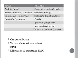 Salping MEDICAL TERMINOLOGY.power point presentation | PPTX