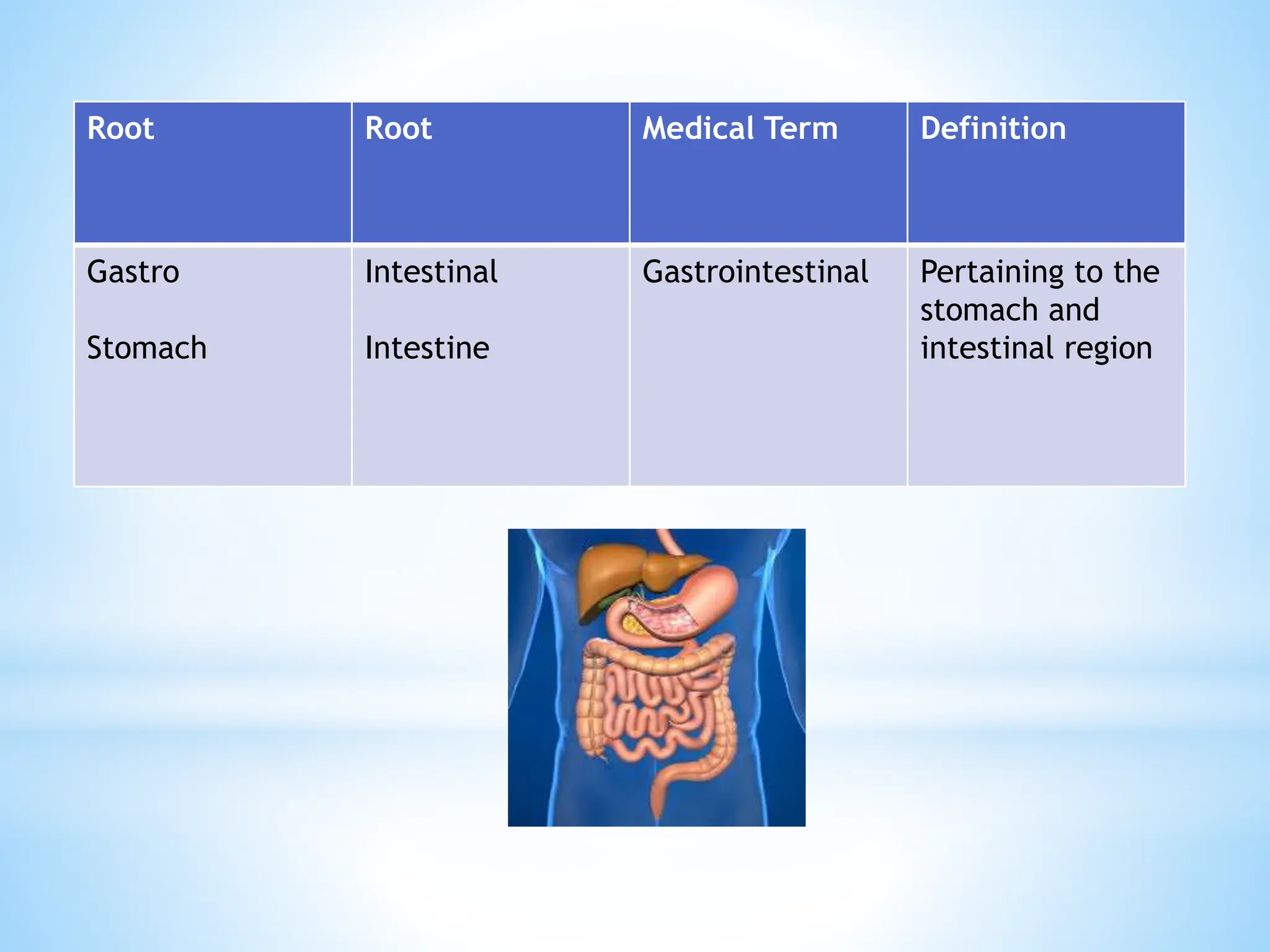 Medical Terminology root prefixes sufixes.pptx