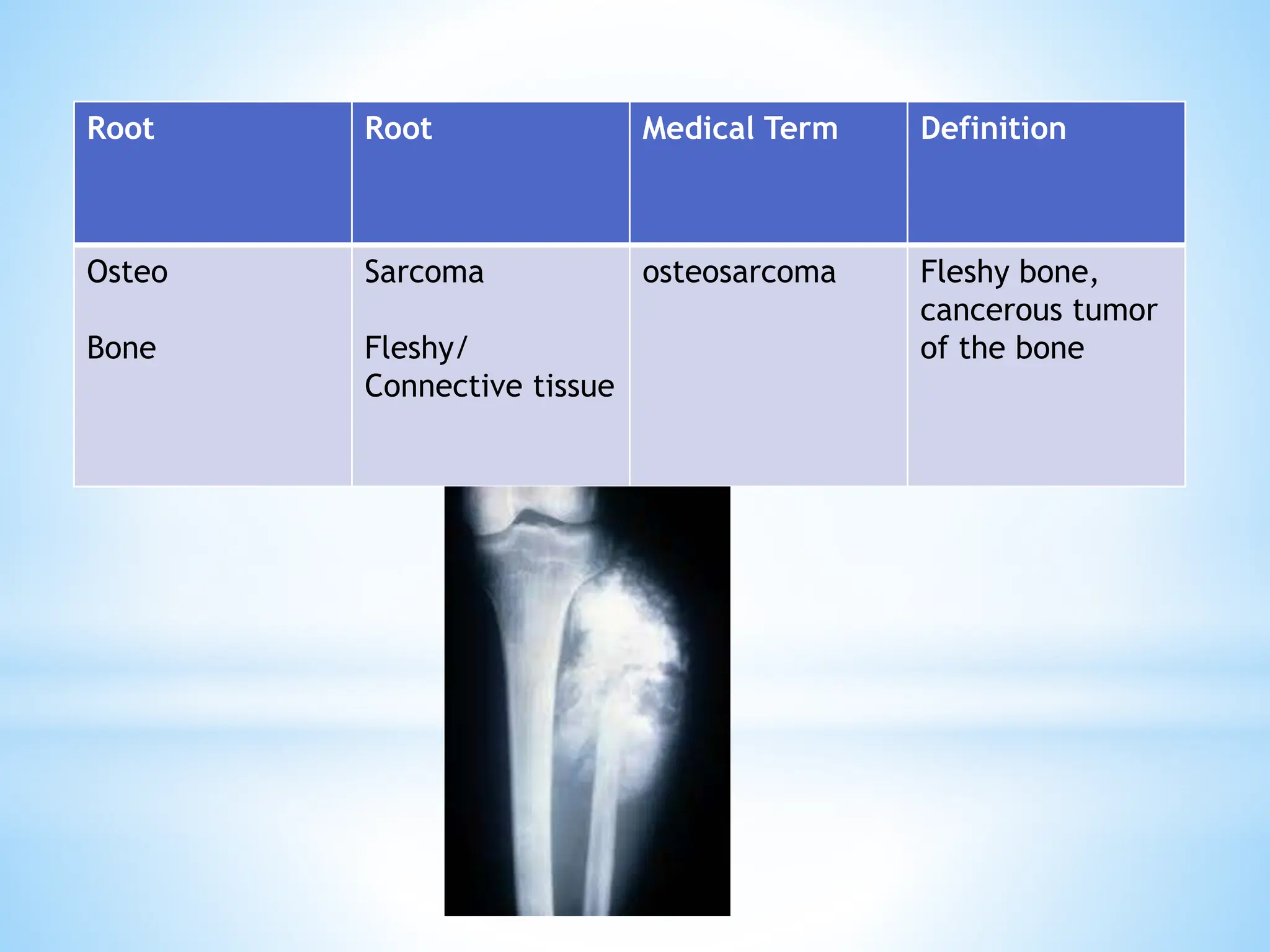 Medical Terminology root prefixes sufixes.pptx