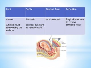 Medical Terminology root prefixes sufixes.pptx