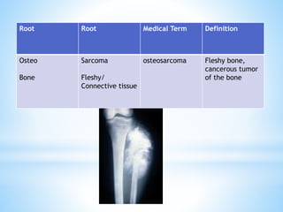 Medical Terminology root prefixes sufixes.pptx