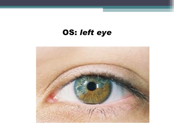 Medical terminology abbreviations