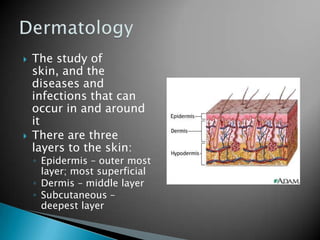 Medical terminology – Chapter 3B Skin | PPTX