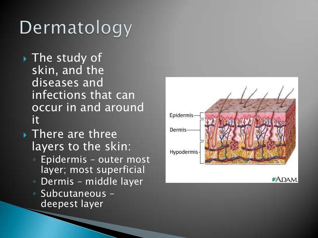 Medical terminology Chapter 3B Skin