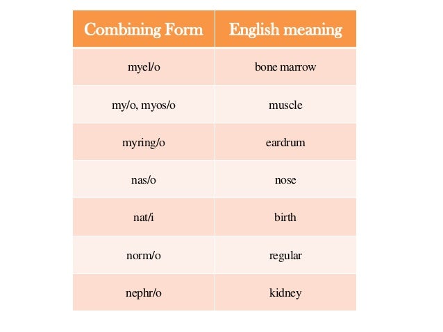 medical terminology combining forms the combining form for the tubes that move urine from the kidneys to the bladder is