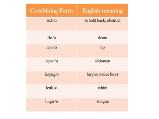 Combining Form

English meaning

isch/o

to hold back, obstruct

Ile /o

ileum

labi /o

lip

lapar /o

abdomen

laryng/o

larynx (voice box)

leuk /o

white

lingu /o

tongue

 