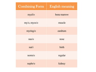 Combining Form

English meaning

myel/o

bone marrow

my/o, myos/o

muscle

myring/o

eardrum

nas/o

nose

nat/i

birth

norm/o

regular

nephr/o

kidney

 