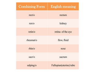 Combining Form

English meaning

rect/o

rectum

ren/o

kidney

retin/o

retina of the eye

rheumat/o

flow, fluid

rhin/o

nose

sacr/o

sacrum

salping/o

Fallopian(uterine) tube

 