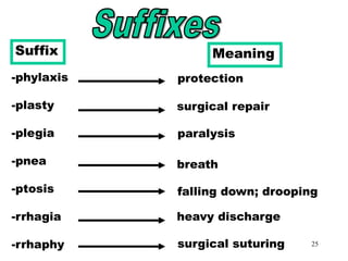 Medical Terminology | PPT
