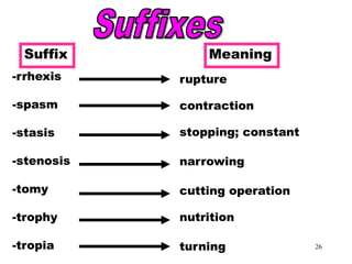 Medical Terminology | PPT