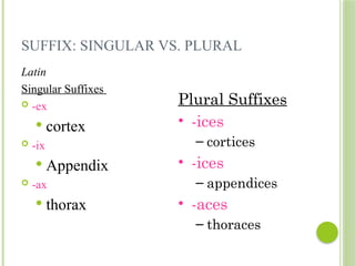 these are simple ,medical terminology notes | PPTX