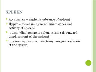 these are simple ,medical terminology notes | PPTX