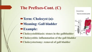 Comprehensive Medical Terminology: Prefixes, Suffixes, and Word Roots ...