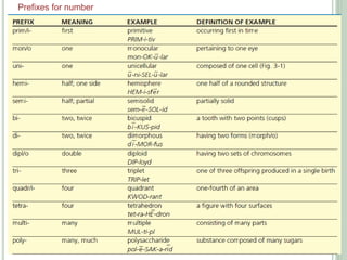 Presentation Medical terminology prefix,suffix.pptx